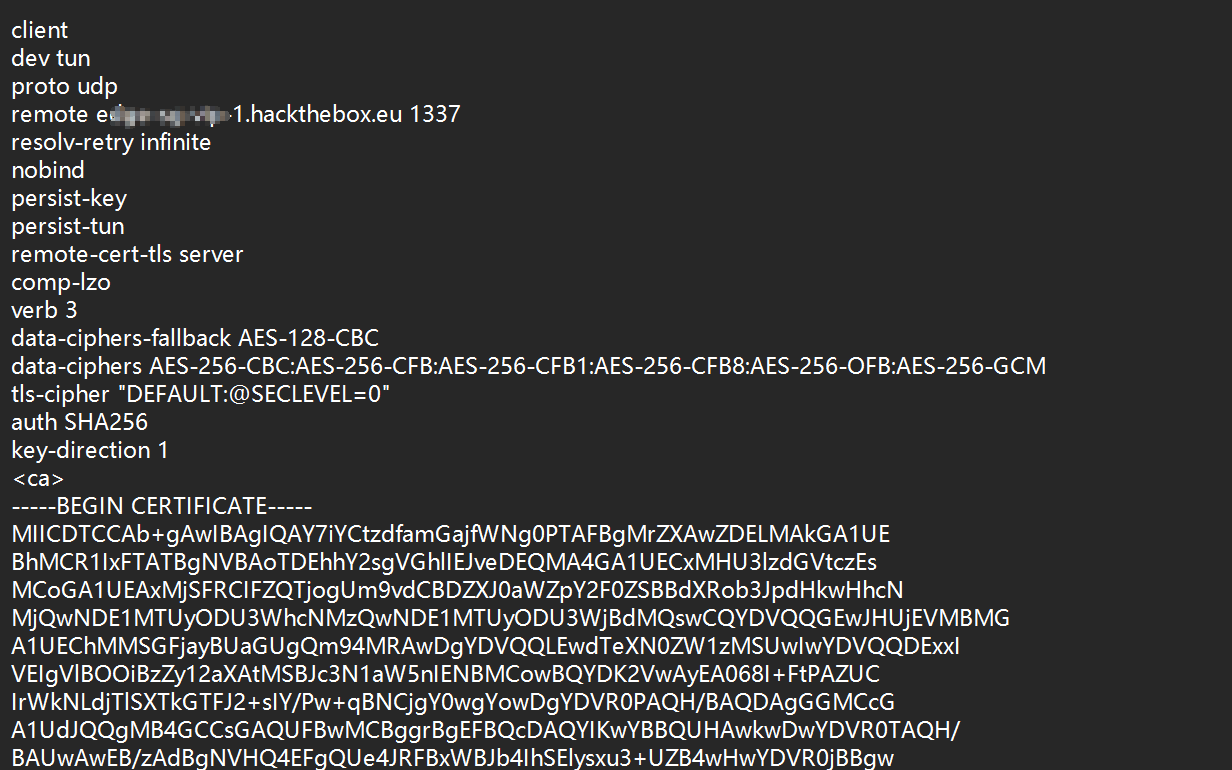 image-20250804204004825