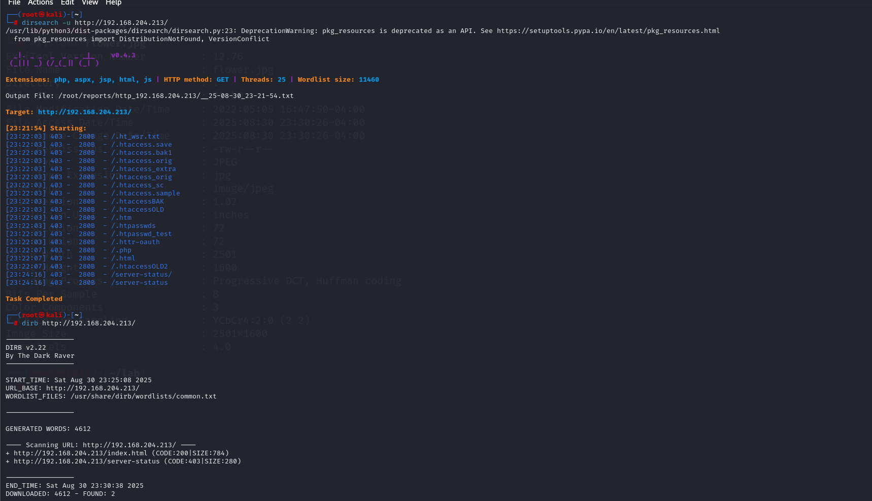 image-20250831113244438