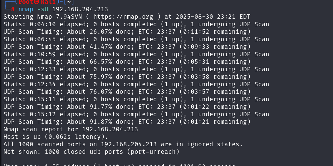 image-20250831113815235