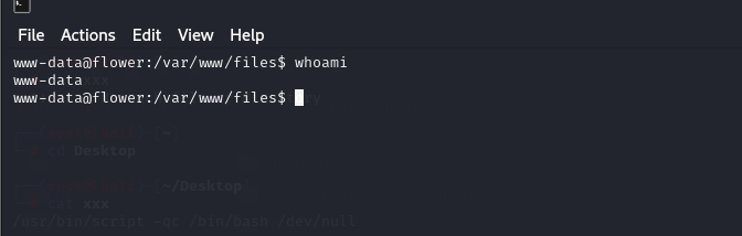 image-20250831155929984