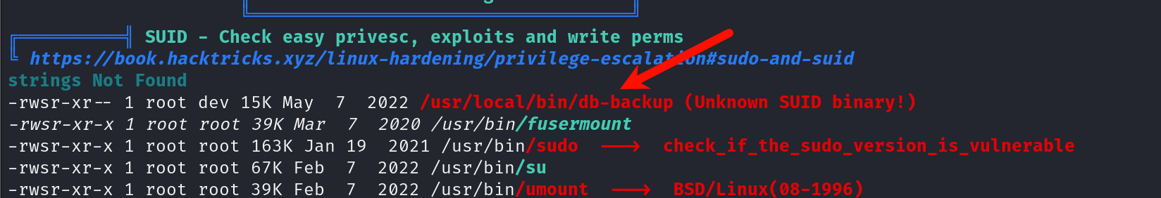image-20250831164942962