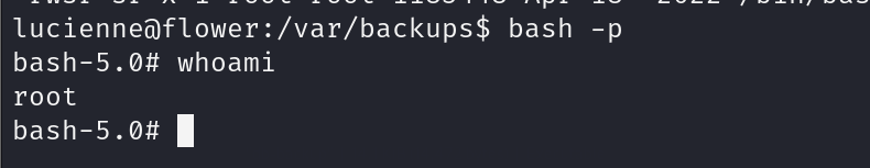 image-20250831173047766