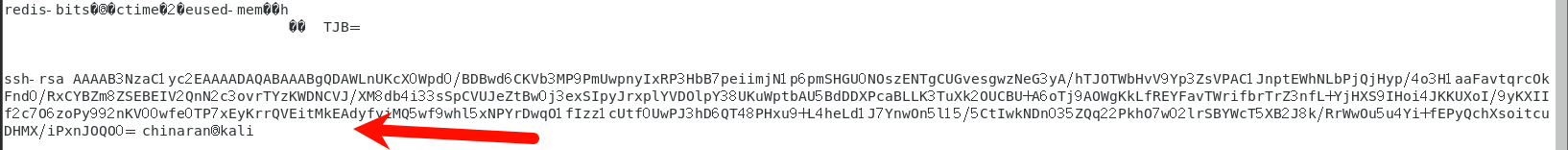 image-20251112201219418