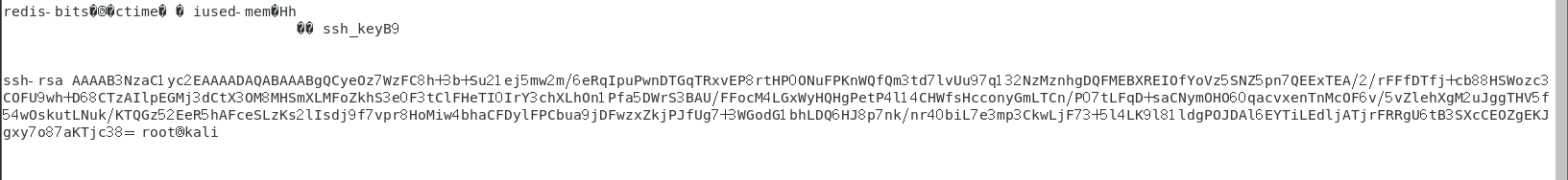 image-20251112220212618